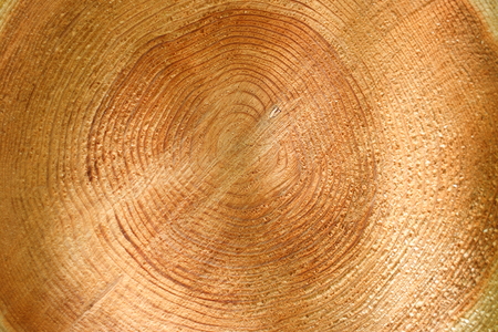 logの写真素材