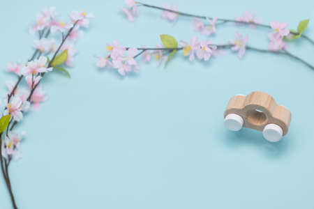 The image of the cherry blossom season