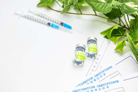 Image of vaccination in dogsの写真素材