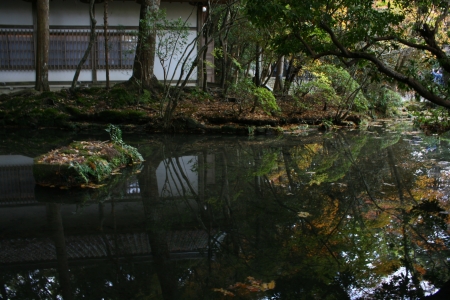 Jpanese gardenの写真素材