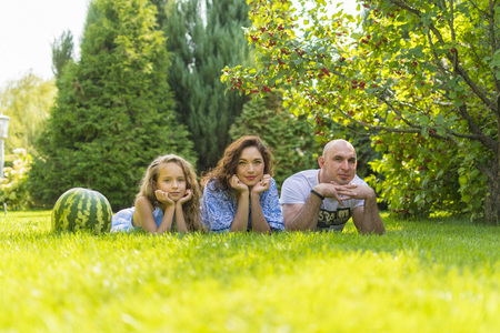Young family with kids having picnic outdoors. Parents with two children relax in a sunny summer garden. Mother, father, little girl and baby boy eat sandwich and fruit, drink juice for lunch in parkの写真素材