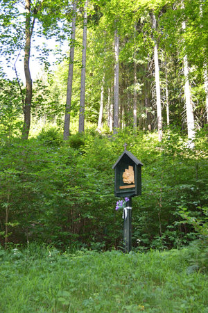 A prayer spot in the woodsの写真素材
