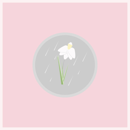 Spring flower flat icon. Narcissus flower in gray circle on pink background.のイラスト素材