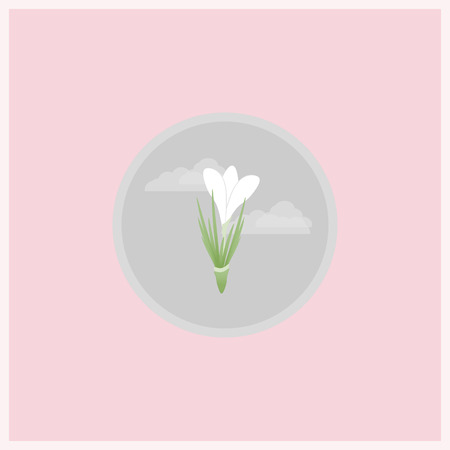 Spring flower flat icon. Srocus flower in gray circle on pink background.のイラスト素材