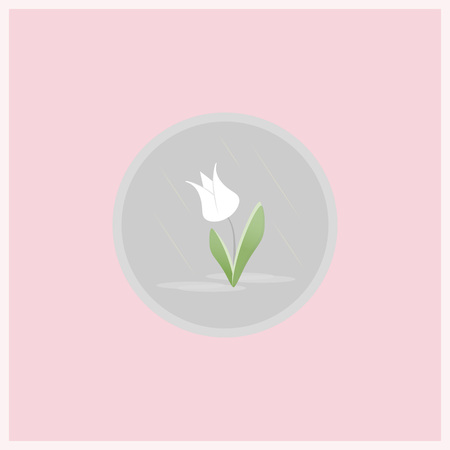 Spring flower flat icon. Tulip flower in gray circle on pink background.のイラスト素材