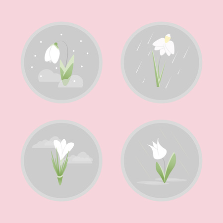 Spring flower flat icon set. Flowers in gray circle on pink background.のイラスト素材