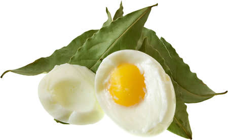 Isolated egg and the bay leafes