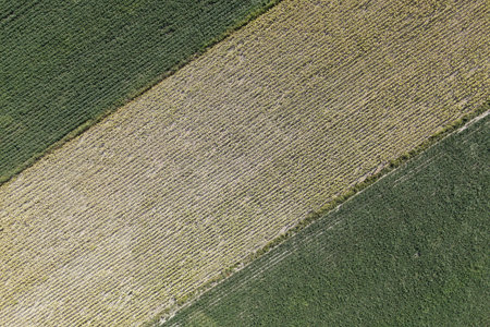 aerial view of the harvest fields in Poland near Wroclaw