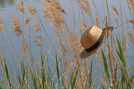 Straw hat in the reeds at the lakeの写真素材