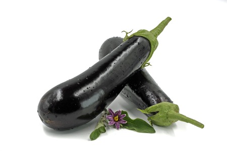 Fresh eggplants with blossom isolated on white backgroundの写真素材