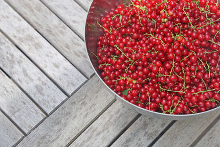 bowl of fresh harvested red currant berries on wooden table with copy space