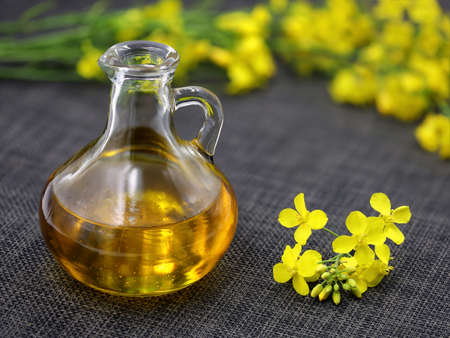 fresh rapeseed oil in glass bottle decanter with rape flowers on dark backgroundの写真素材