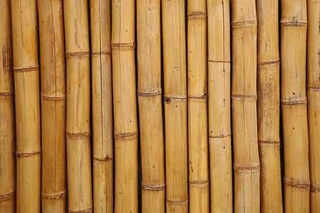 yellow bamboo fence background, vertical bamboo textureの写真素材