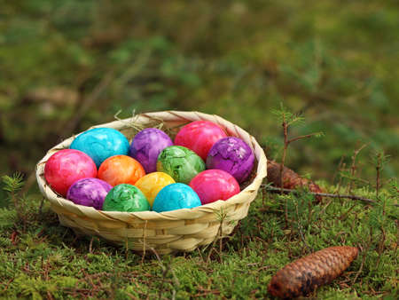 colorful easter eggs in a straw basket on green moss in the forest, close up of painted eggs in the...