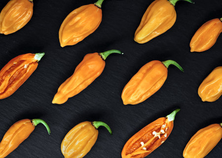 top view of hot orange chili peppers, bhut jolokia, on black slate background, diagonal arrangement of the hottest chillies in the worldの写真素材