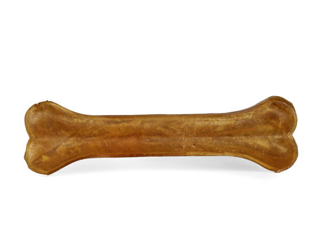 Dog chewing bone isolated on white background