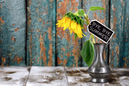 Sunflower in vintage metal vase lowers its head with a wooden sign saying Bye Bye Summer, isolated on color wooden background, end of summer concept, flower symbolizes sad moodの写真素材