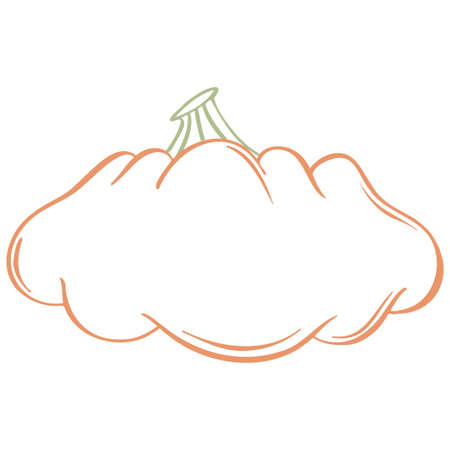 Transparent pumpkin in sketch. Hand drawn pumpkin in doodle. Thanksgiving dayのイラスト素材