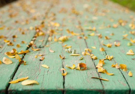 Leaves on green table