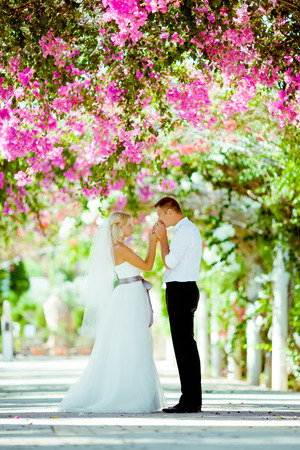 Wedding Julia and Maximの写真素材