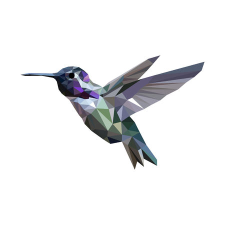 hummingbird origami (geometric style). colibri illustration of a many triangles.のイラスト素材