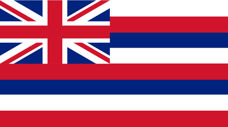 Vector image of Hawaii State flag. Ka Hae Hawaii.のイラスト素材
