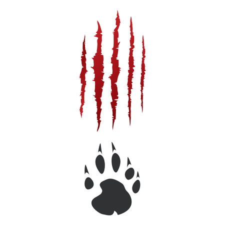 Footprints of a big bear panther or tiger vector tracesのイラスト素材