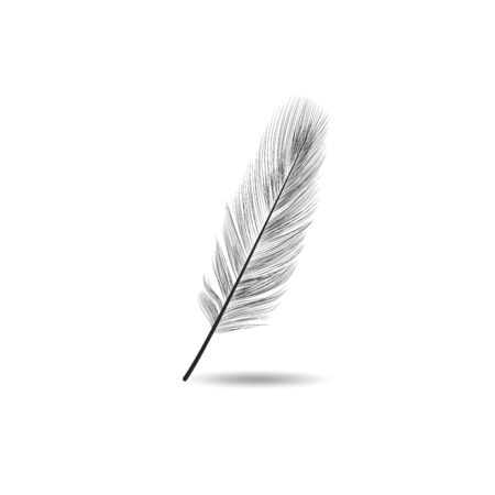 Vector illustration of realistic black feather on white background. Easy editable layered vector illustrationのイラスト素材