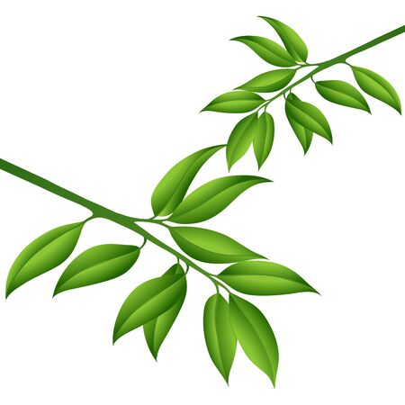 Vector Illustration of a Branch with Green Leafsのイラスト素材