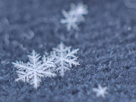 Snowflakes against a dark background