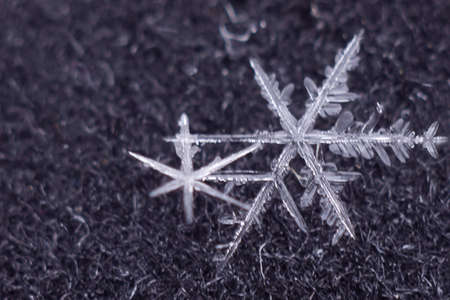 Snowflakes against a dark background