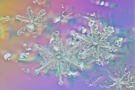 Snowflakesの写真素材