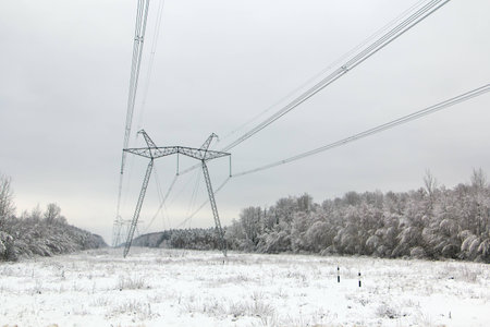 High-voltage power line in the snowy woods