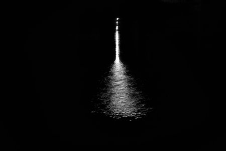 Moonlight on the lake in black and whiteの写真素材