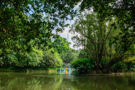 Dawn over the lake in the park of the city of Guangzhou, China
