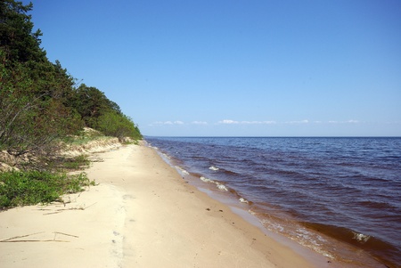 Coast of Baltic sea in Estonia.Estonian nature.の写真素材