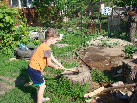 child chopping wood acacia a big axe Sunny day.の写真素材