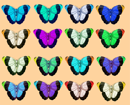 Large collection of colorful butterflies on beige background. Vectorのイラスト素材