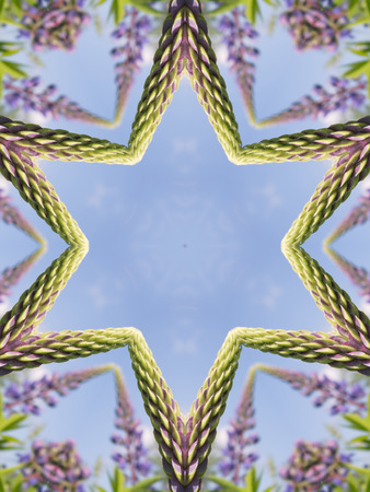 Abstract kaleidoscope pattern with purple flowers