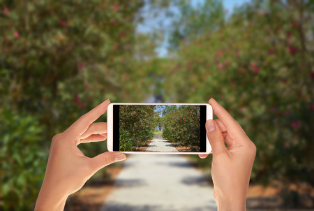 A tourist is taking a photo of a path through a beautiful garden with flowers in the ruins of Pompeii, Italy on a mobile phoneの写真素材