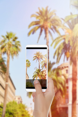 A man is making a photo of palm trees in the summer sun on the streets of Rome on a mobile phoneの写真素材