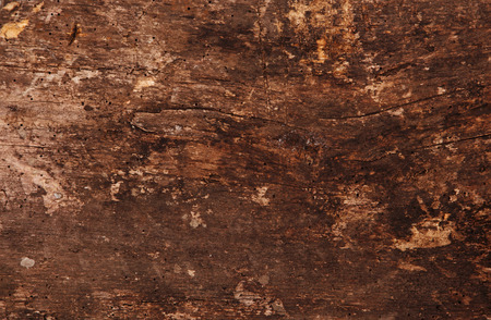 Wooden Textureの写真素材