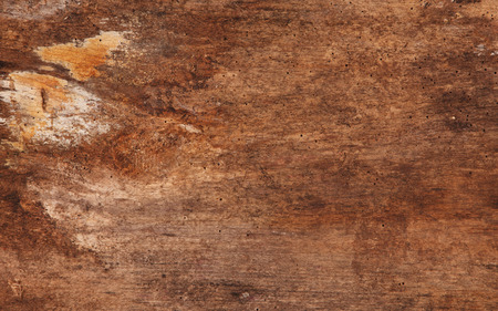 Wooden Textureの写真素材