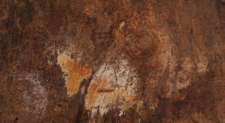 Wooden Textureの写真素材