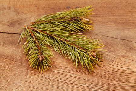 Christmas fir tree on a wooden background