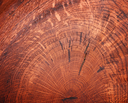 Wooden textureの写真素材