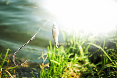 Fishing hook on lake and fish backgroundの写真素材