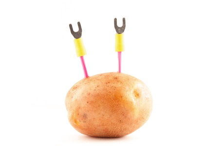 Electrical wires in potatoesの写真素材