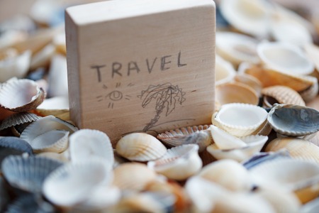 Background of seashells with signboardの写真素材