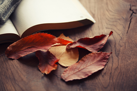 leaves and a book on a wooden tableの写真素材